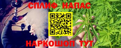 дживик Аша