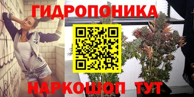 дживик Аша